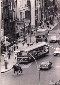 Horse in Traffic
